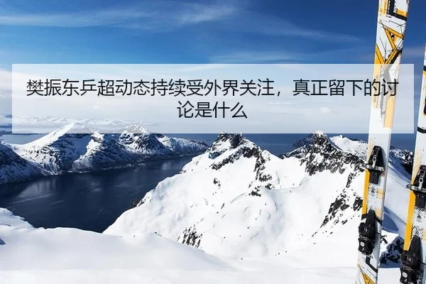 樊振东乒超动态持续受外界关注，真正留下的讨论是什么